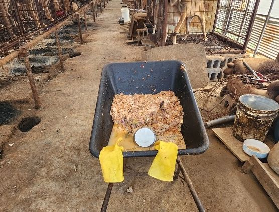 파주시, 음식물쓰레기 불법 사용하는 개 사육시설 엄중 처벌