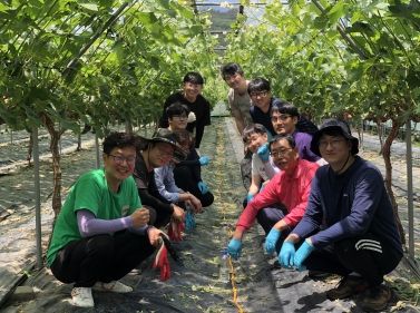 김천시 원도심재생과, 도시재생지원센터 농촌 일손 돕기