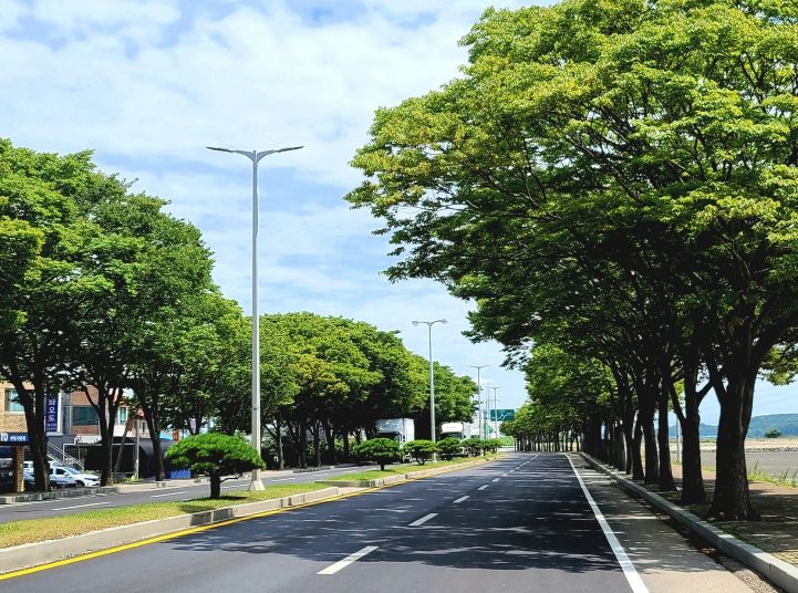 경기도 화성시 우정읍 느티나무길