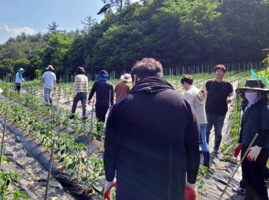 장흥 장평면, 농촌일손돕기로 농가에 웃음 ‘활짝’
