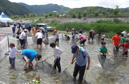 울진군,‘왕피천 피래미 축제’개최