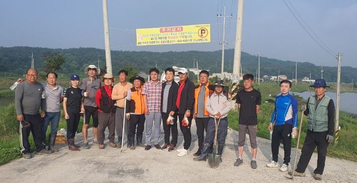 호법숲가꾸기 코스모스 길.