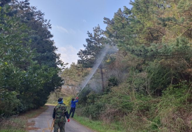 소나무재선충병 지상방제