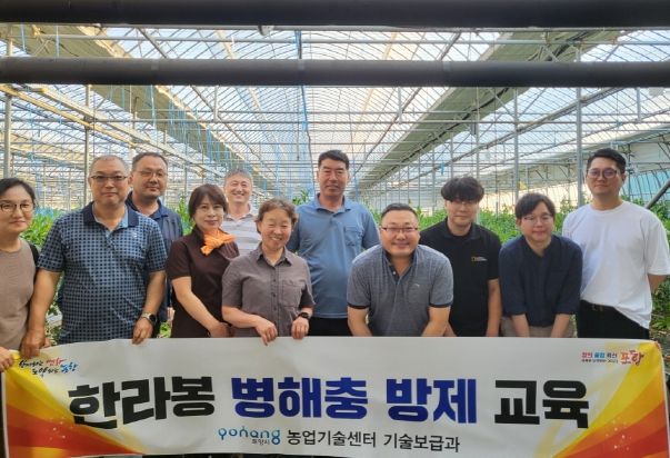 포항시는 지난 9일 흥해읍 일원에서 한라봉 재배 농가를 대상으로 병해충방제 및 재배 기술에 대한 컨설팅을 진행했다.