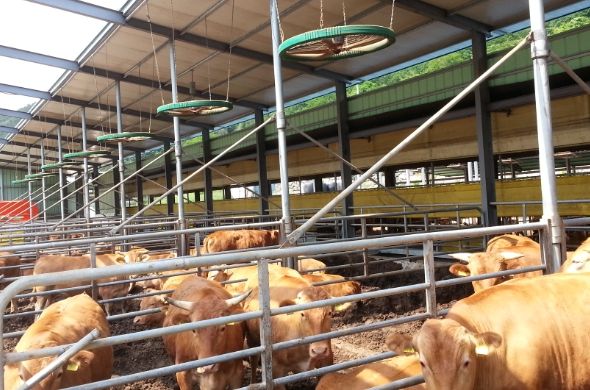 여름철 축사관리