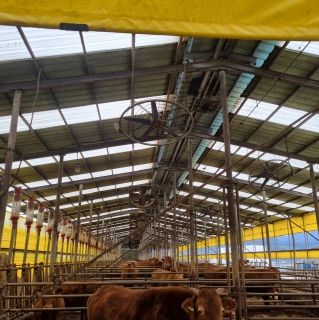 여름철 고온 대비를 위한 축사 송풍기