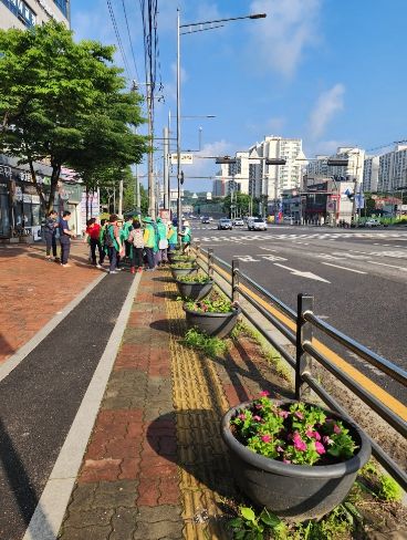 통진읍 새마을부녀회 외원들의 여름꽃 식재 활동