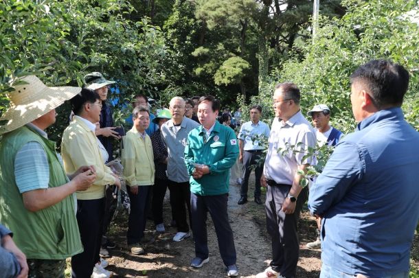 권기창 안동시장 예안 우박 피해 농가 방문 ‘신속한 구제대책 주문’