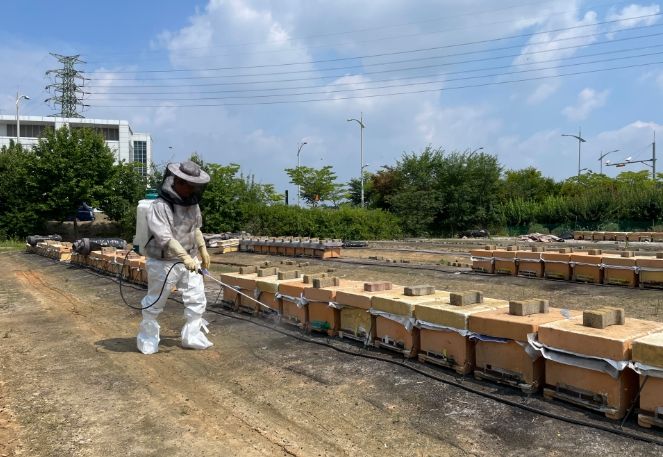음성군 양봉농가 꿀벌응애 공동방제 실시