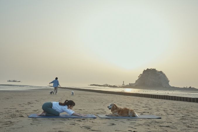 태안 꽃지해수욕장에서 ‘도가’를 즐기는 모습(한국관광공사 제공).