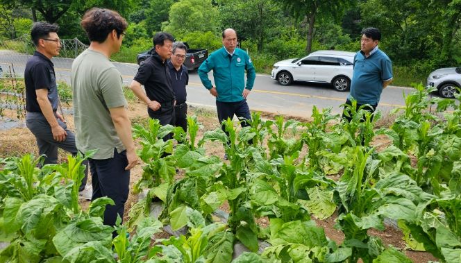상주시장, 화북면 우박 피해 농가 현장 방문