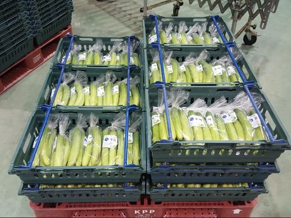 농․축․수산물에 가공식품까지 접경지 농가 군납 확대 기대