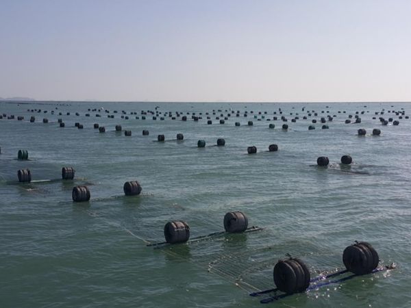 옹진군, 해양 미세플라스틱 저감으로 연안어장 환경오염 방지