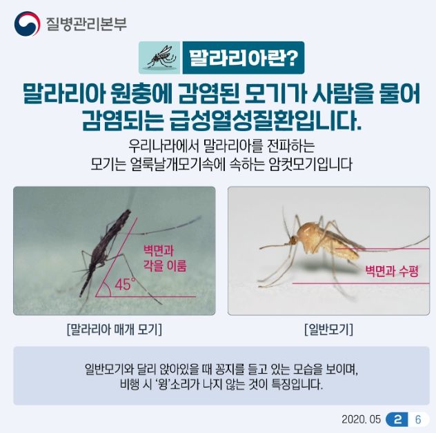 고양시, 말라리아 매개모기 발견…감염 주의 당부