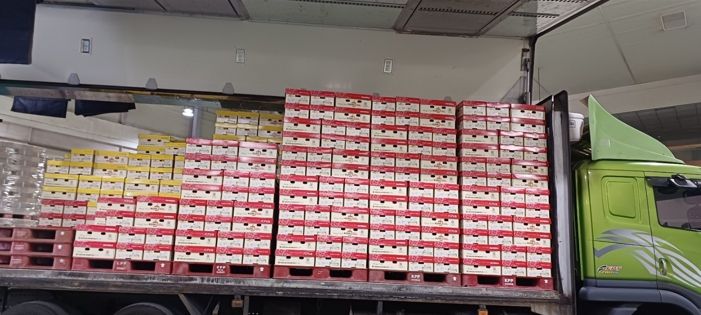 광양시, 농산물 수출 확대 및 경쟁력 제고 ‘박차’