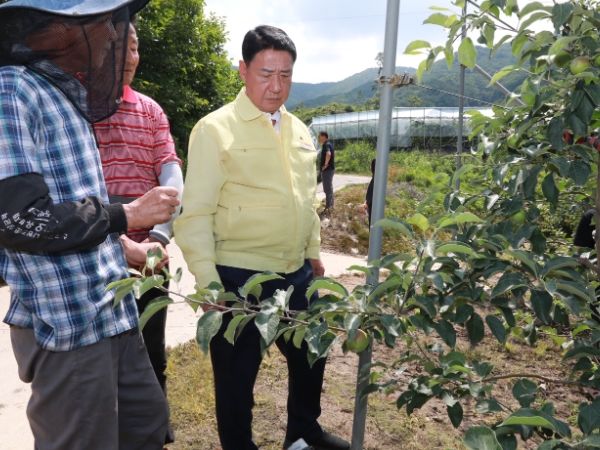 정영철 영동군수, 우박 피해 현장 점검 ‘신속한 조사․지원 지시’