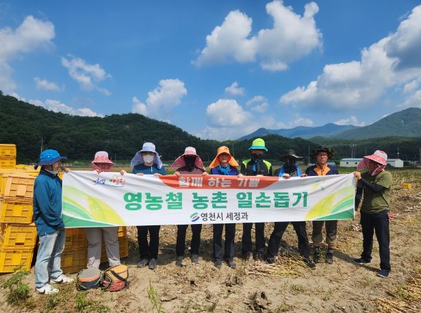 마늘 수확 농촌 일손돕기