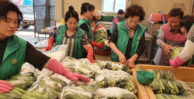 양주시 새마을부녀회, 사랑의 오이지 담그기 사업 전개